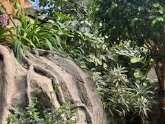 -石家庄市植物园