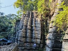-梭布垭石林景区