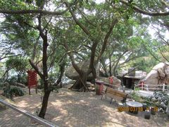 -海角城白海豚浪漫海滩