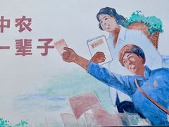 -千岛湖龙川湾