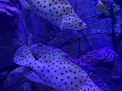 -成都浩海立方海洋公园