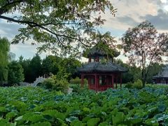 -莲池书院博物馆