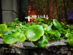 -云上千禾(水上店)