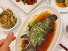 -金鮀岛潮州酒家