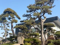 -罗红摄影艺术馆