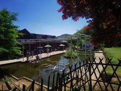 -宁波浙东大竹海景区