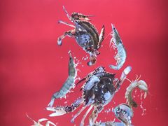 -大锅强·蒸海鲜青岛菜(吾悦广场店)