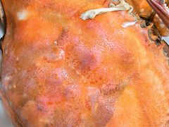 -北塘海鲜·天津菜·鲅鱼水饺是一绝(大光明桥旗舰店)