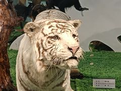 -郑州自然博物馆(惠济区)