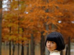 -白鹭湾湿地公园