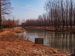 -黄海国家森林公园