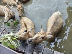 -宁波杭州湾国家湿地公园