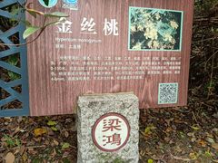 -梁鸿国家湿地公园