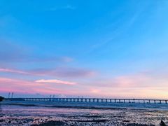 -宝安西湾红树林湿地公园