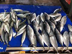 -万龙洲海鲜(大兴绿地缤纷城店)