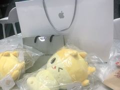-Apple零售店(成都太古里店)