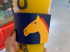 芒果卡士-春丽小马(济南恒隆广场店)