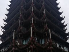 -眉山湿地公园(东坡区)