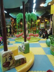 -卡通尼·Safari非洲探索乐园·生日会(金桥国际商业广场店)