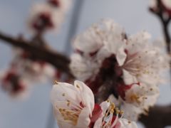 -洛阳市隋唐城遗址植物园