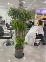 -Coo Hair salon
