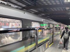 -龙阳路磁悬浮列车总站-停车场