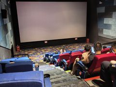 -龙之星国际影城(太平店)