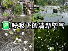 -广州神农草堂中医药博物馆
