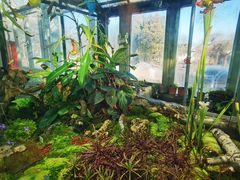 -国家植物园南园