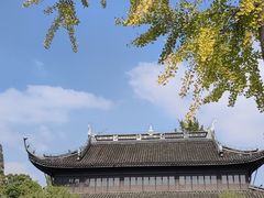 -红梅公园