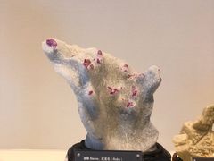 -房山世界地质公园博物馆