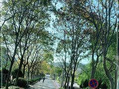 -浙江农林大学(东湖校区)