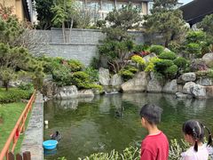 -南宁荔园维景国际酒店·荔园中餐厅