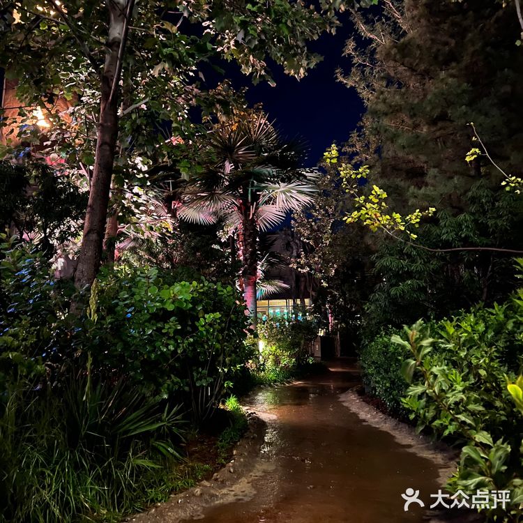 关于环球攻略的雨夜解读