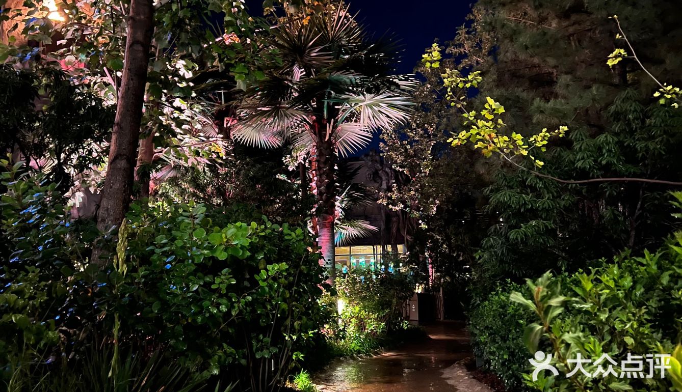 关于环球攻略的雨夜解读