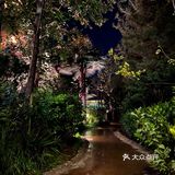 关于环球攻略的雨夜解读