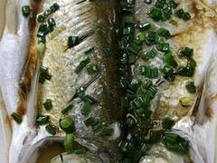 -呼吸森林·生态农庄农家乐私房菜