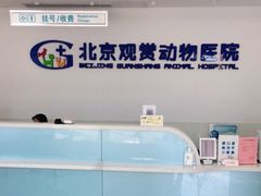 -北京观赏动物医院·24小时大型综合·猫专科·异宠专科