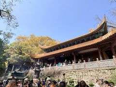 -普陀山风景名胜区-法雨禅寺