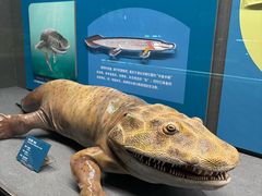 -国家自然博物馆