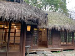 -中国茶叶博物馆(双峰馆区)