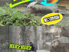 -南昌动物园