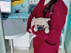 -乐宠动物医院