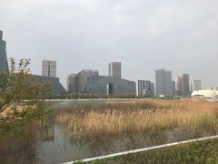 -金沙湖公园