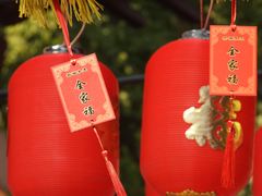 -亭林园-华藏寺