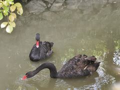 -福建鲤鱼洲酒店