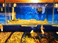 水产区-北塘老院酒馆(鸿泰·千佰汇商业广场店)