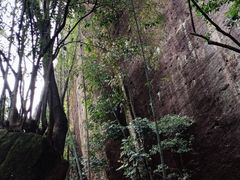 -武夷山风景名胜区-虎啸岩