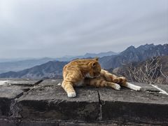 景点-慕田峪长城