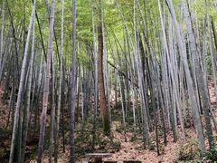 -敬亭山风景名胜区